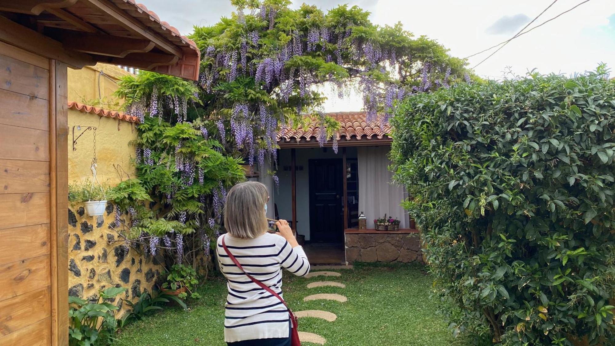 Casa Rural La Ganania Los Realejos Pokoj fotografie